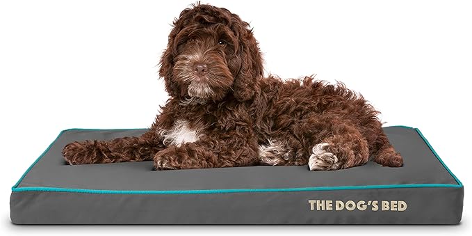 The Dog’s Bed Orthopedic Memory Foam Dog Bed 34x22, Pain