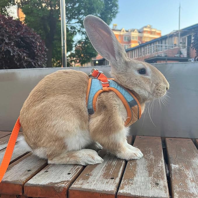 Adjustable Bunny Harness and Leash Set Double Buckle with Reflective Strips Rabbit Vest Pets Stuff Suitable for Rabbit Walks Accessories(Orange Green