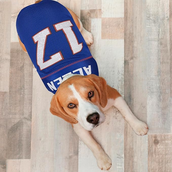 NFLPA Josh Allen PET Jersey