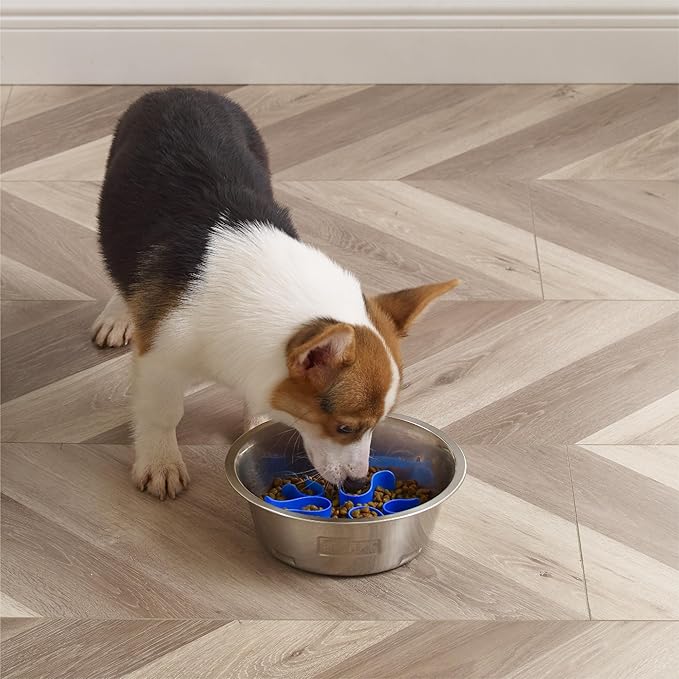 Outward Hound Fun Feeder Stainless Steel Slo Bowl Slow Feeder Stainless Steel Dog Bowl with Slow Feeder Insert