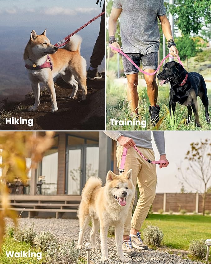 OutdoorMaster Bungee Dog Leash 2 Padded 4 FT