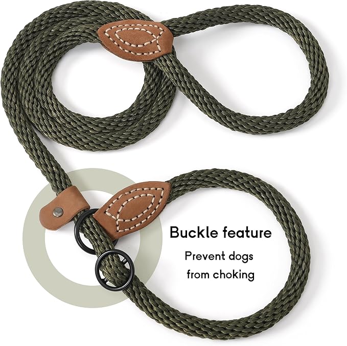 Mile High Life Slip Leads for Dogs 5 Feet