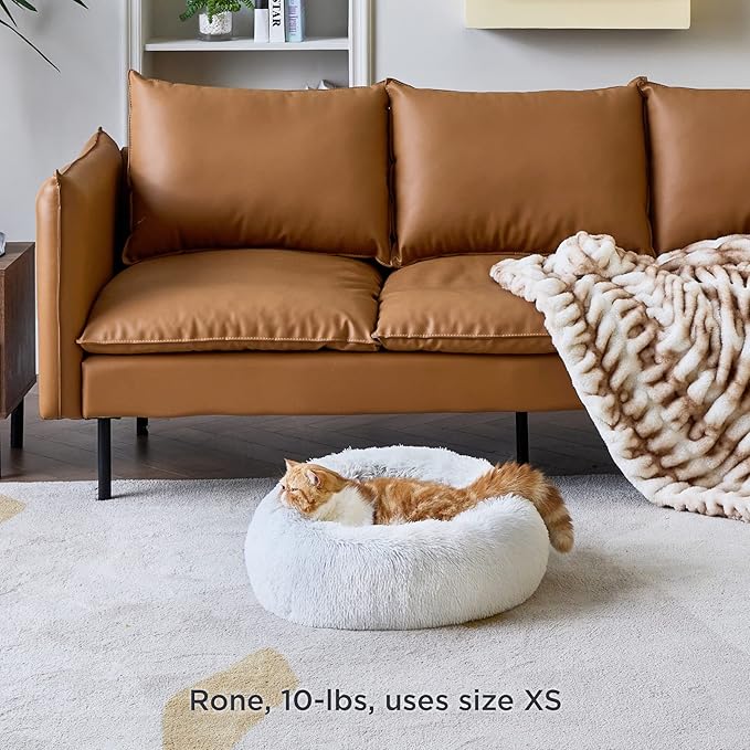 Bedsure Calming Cat Beds for Indoor Cats 20 inches, 15 lbs