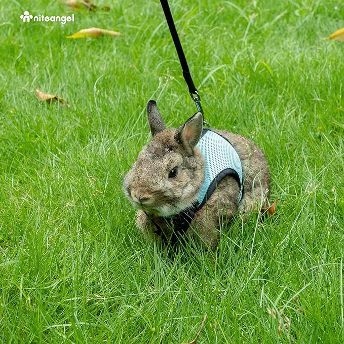 Niteangel Adjustable Soft Harness with Elastic Leash for Rabbits (M