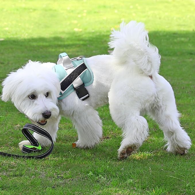 Bolux Dog Harness