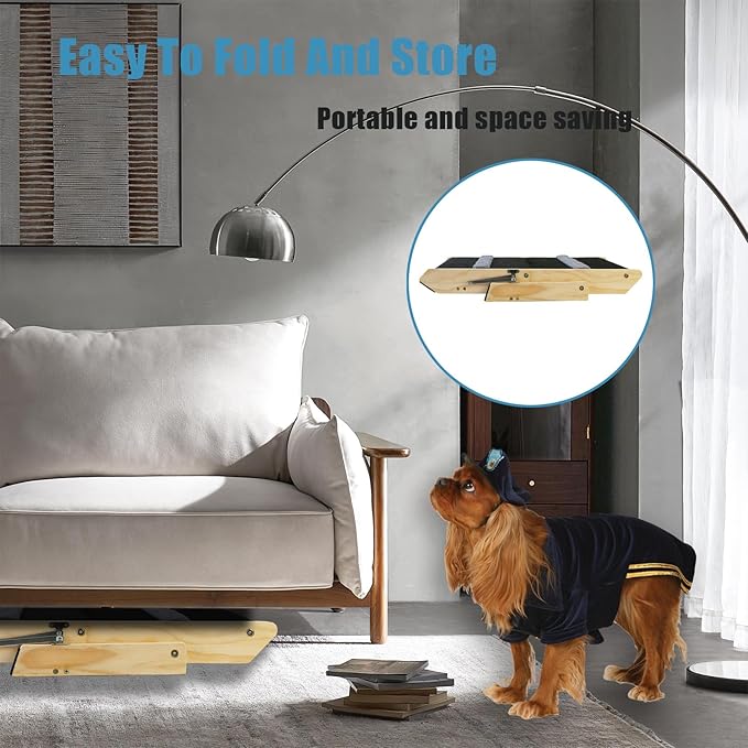 2-in-1 Indoor Pet Ramp 2-Tier Pet