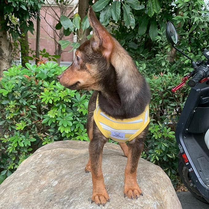 YQYS Dog Shirts Multi-color Striped Cotton Vest for Small Dogs and Cats Puppy Clothes Teacup Dog Clothing Tank Top for Chihuahua Miniature Pinscher Yellow Large
