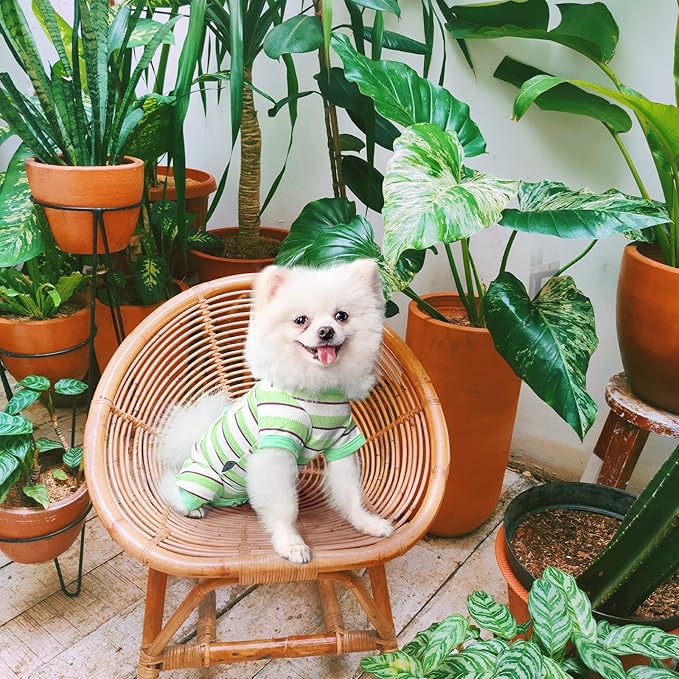 TONY HOBY Dog Pajamas 4 Legged