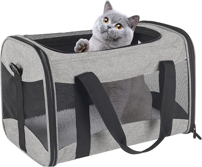 Cat Carrying Case