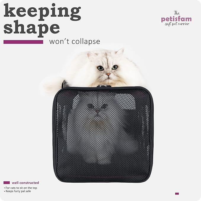 Soft Pet Carrier for Large and Medium Cats 2 Kitties,