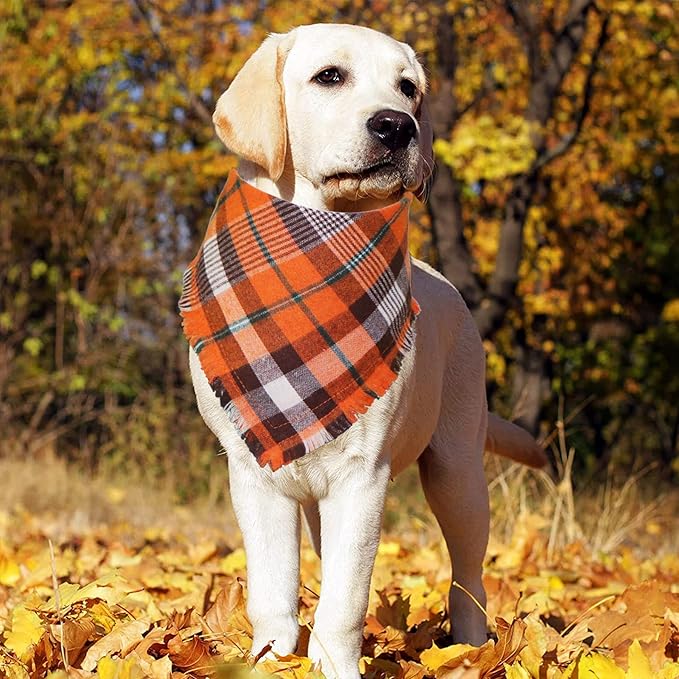 STMK Fall Dog Bandana, 4 Pack Holiday Fall Thanksgiving Day Dog Bandanas with Tassels Edges for Small Medium Large Dogs
