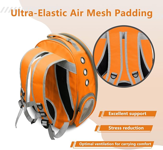 TOYSINTHEBOX Cat Backpack Carrier 13 Lbs