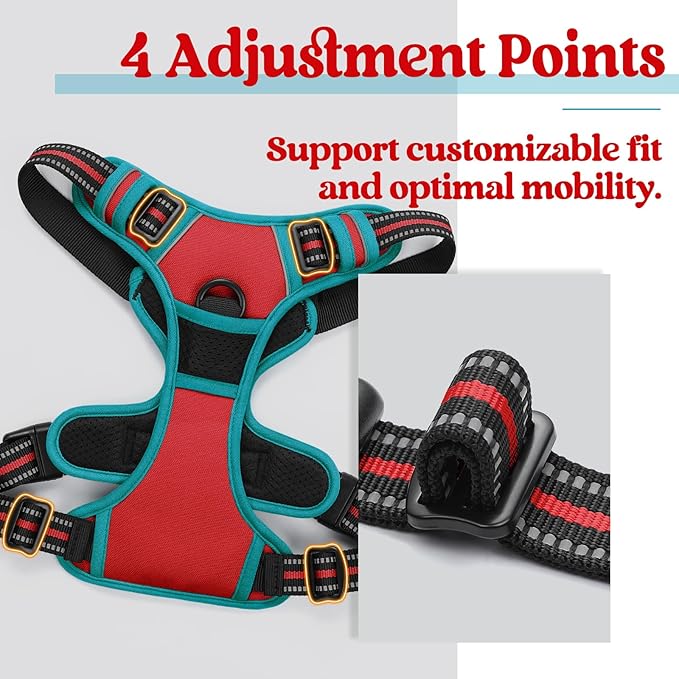 rabbitgoo Dog Harness 2 Leash