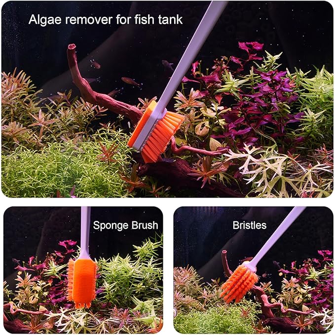 Small Fish Tank Cleaner