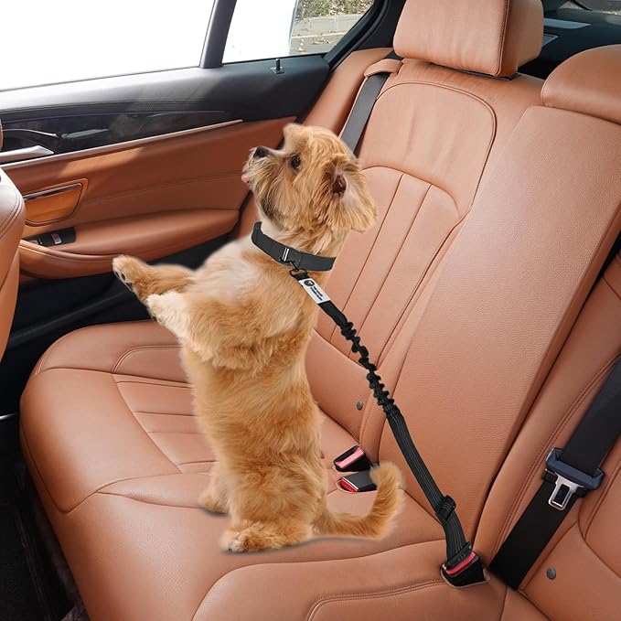 Dog Seatbelt 360 Degree