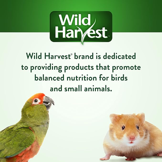 Wild Harvest Fruit Kabobs 6 Count,