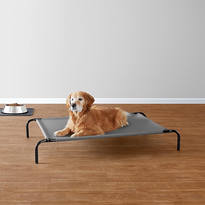 Amazon Basics Cooling Elevated Dog Bed with Metal Frame 51 x 31 x 8 Inch,
