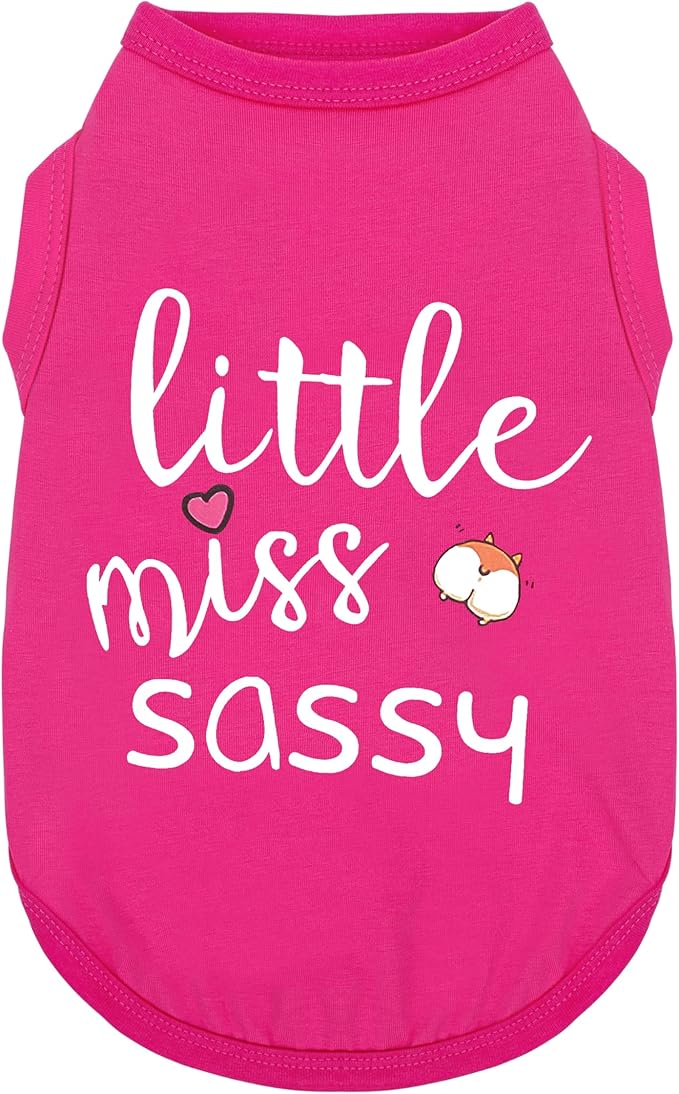 Paiaite Dog Clothes Fashionable Sleeveless Pet Vest: 'Little Miss Sassy' Printed Cotton Dog Shirt, Ideal for Small, Medium, and Large Breeds, Ensuring Comfort and Breathability Rose Red 4XL