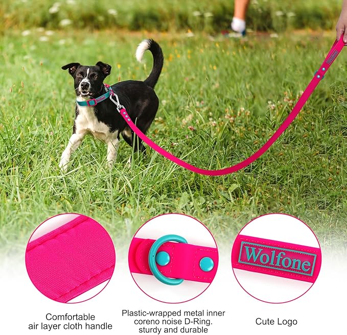 Waterproof Dog Leash Carabiner Leash for Dogs Soft 6ft*25mm*2.5mm Pink