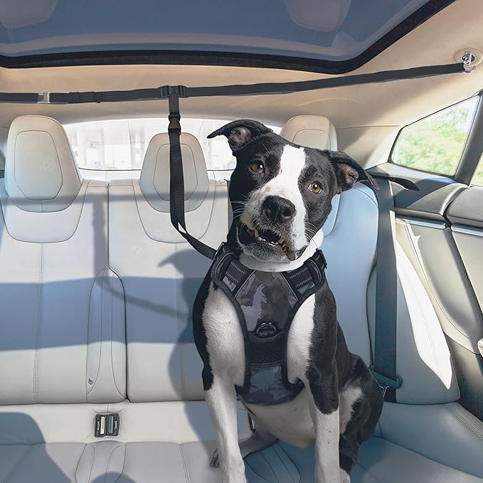 The Buddy System Truck Bed Leash Tether Dog Harness