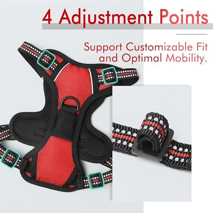 rabbitgoo Dog Harness 2 Leash