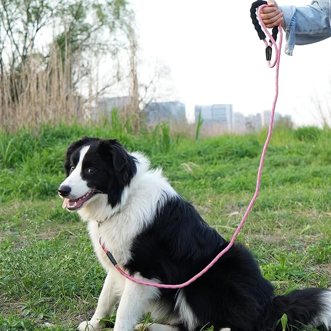 NTR 15FT Training Leash for Dogs