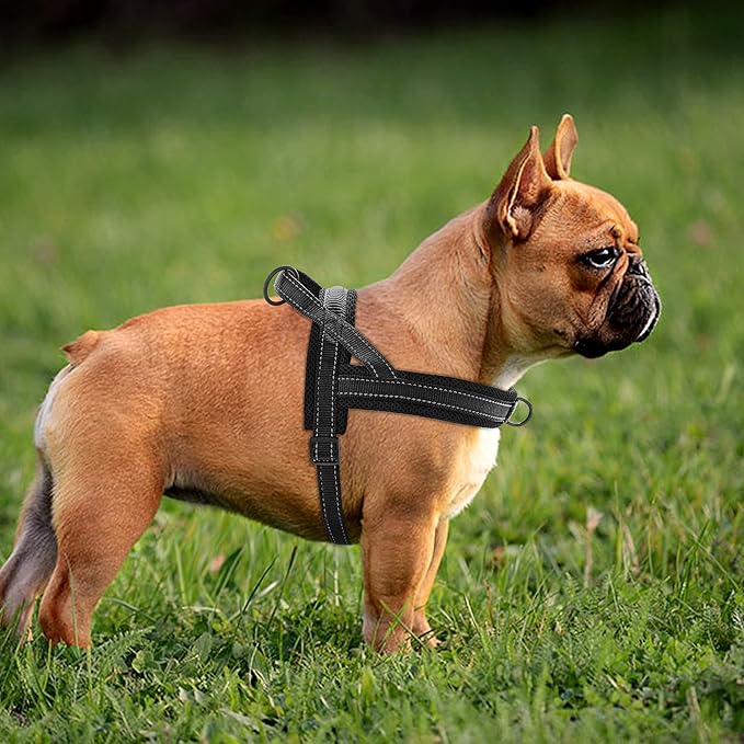 Didog Soft Mesh Padded Dog Vest Harness 15-18", Mesh-Black)