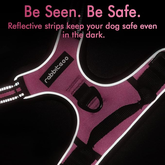 rabbitgoo Dog Harness 2 Leash