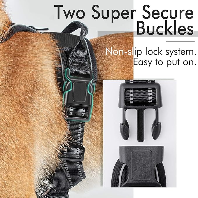 rabbitgoo Dog Harness 2 Leash