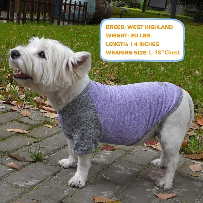 KYEESE 2 Pack Dog Shirts Raglan Sleeve Quick Dry Soft Stretchy Small Dog T-Shirts with Reflective Label Protects Against Foxtails Lightweight Dog Clothes Sun Protection