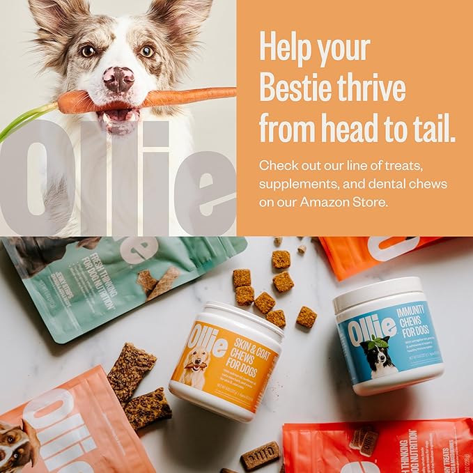 Ollie Crunchy Treats Variety Pack 100% Human 16 Oz.