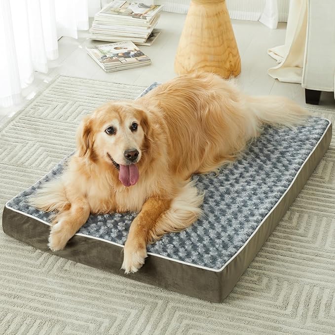 WNPETHOME Orthopedic Large Dog Bed 36 x 27 x 3 inch