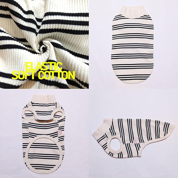 Dachshund Clothes for Dogs Mini and Adults T Shirts (S