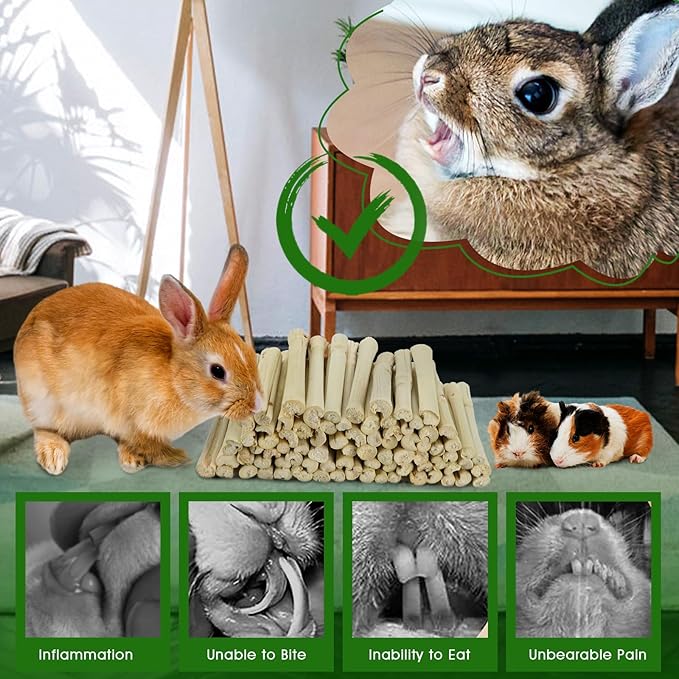 BWOGUE 1000g Pet Snacks Sweet Bamboo Chew Toy