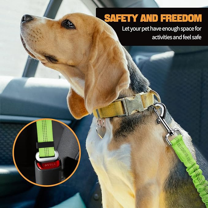 Dog Seat Belt