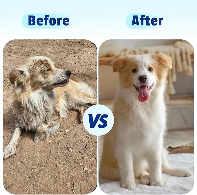 Dog Cleaning Wipes for Paws 8'' x 8'' Hypoallergenic 400 Count
