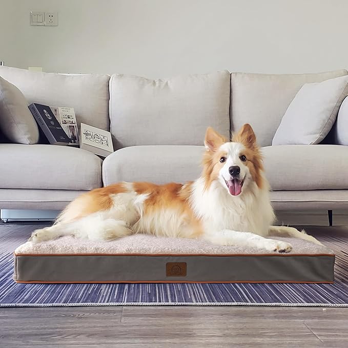 Extra Large Dog Bed Orthopedic Dog Bed XL(41"X27"X3"), Light