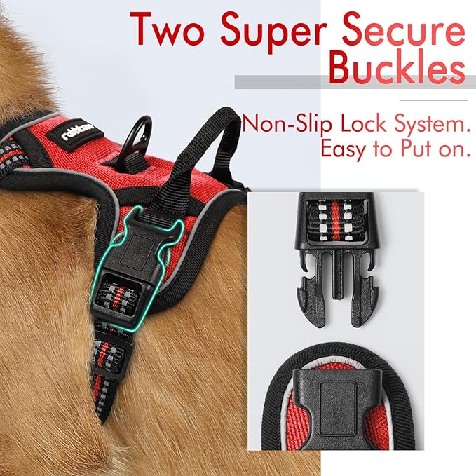 rabbitgoo Dog Harness 2 Leash