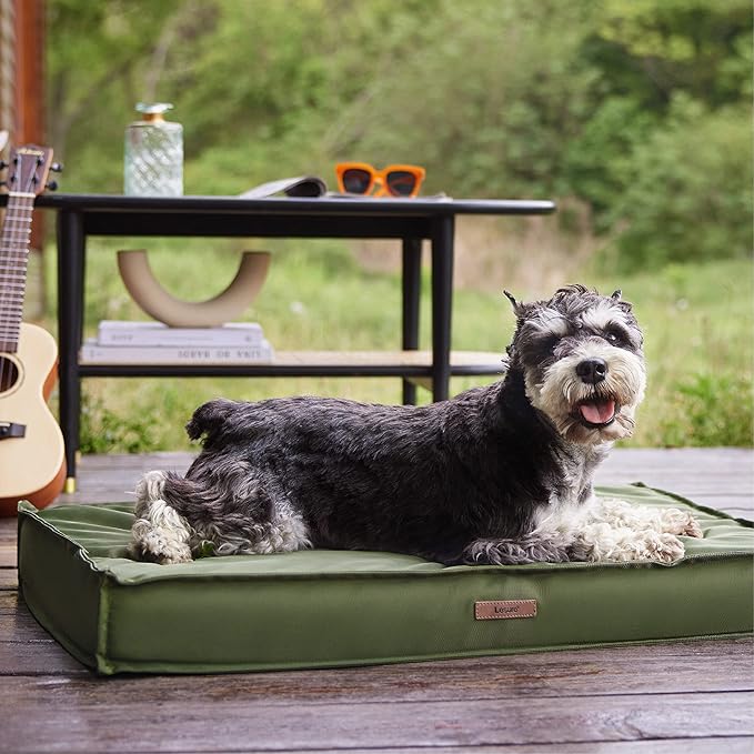 Lesure Water-Resistant Dog Bed Cover 30x20x3 Inches