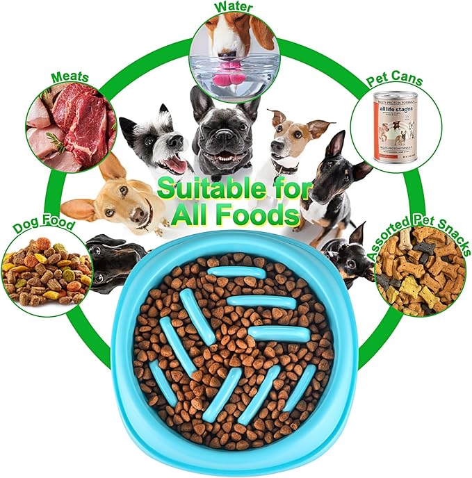 Slow Feeder Dog Bowls 2 Pack