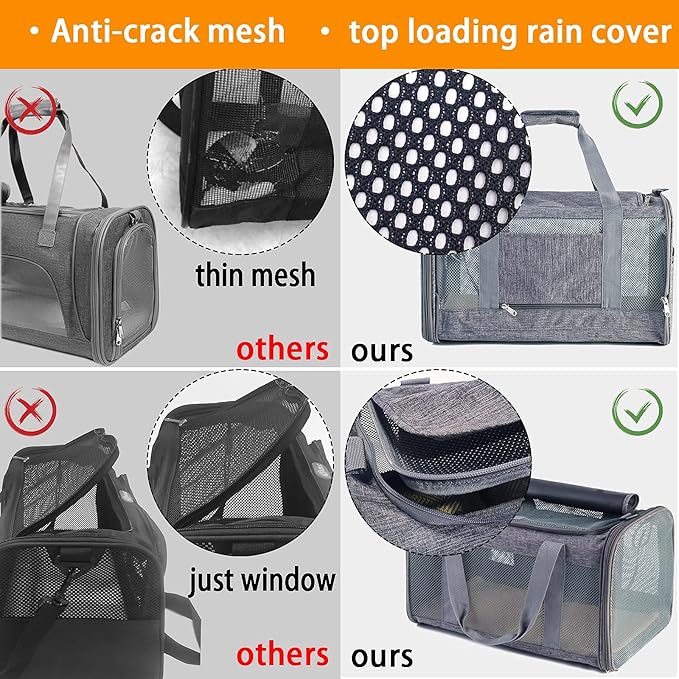 Cat Carrier for 2 Cats