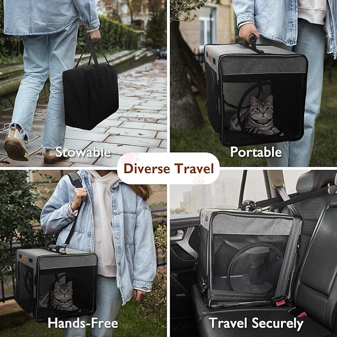 PETUX Cat Travel Carrier with Litle Box 2-in-1 Cat 2 Cats,