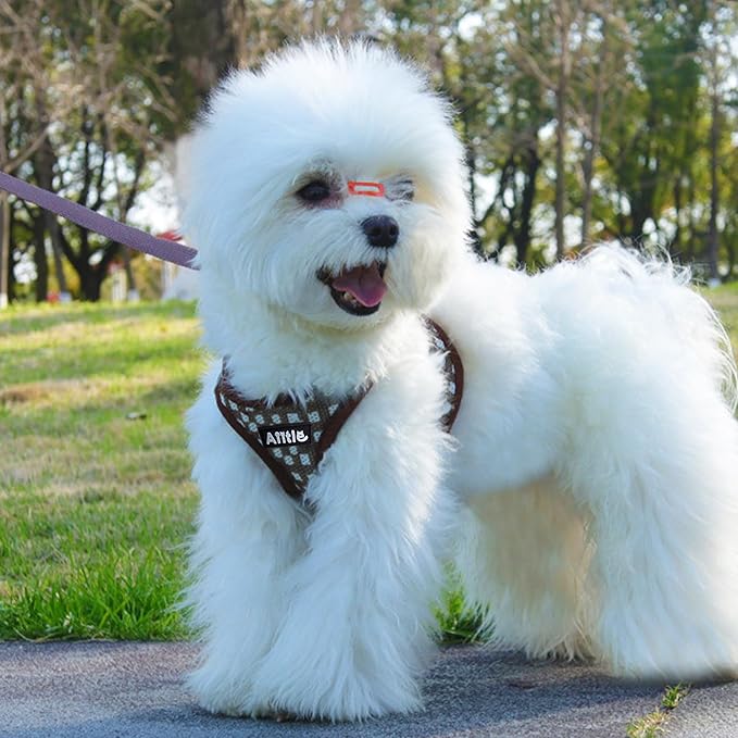 AIITLE Easy Walk Dog Vest Harness and Leash Set