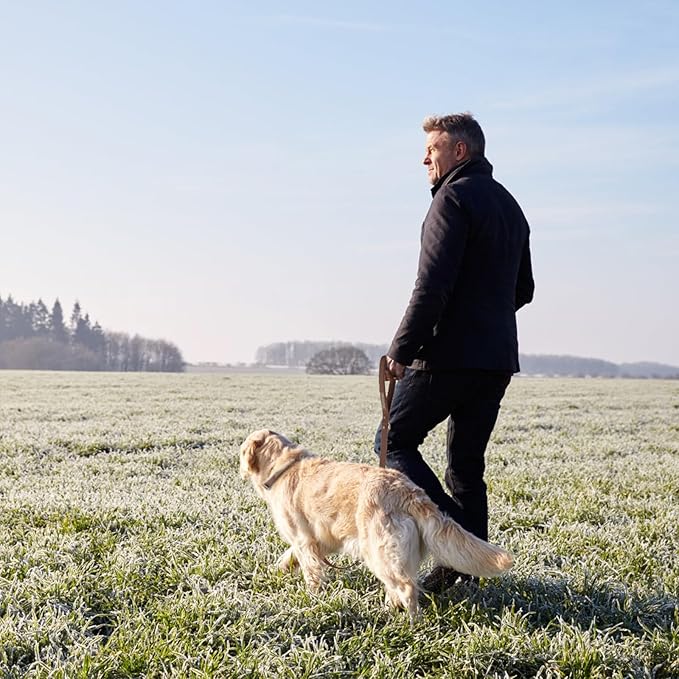 Waterproof Dog Leash Carabiner Leash for Dogs Soft 6ft*25mm*2.5mm Brown