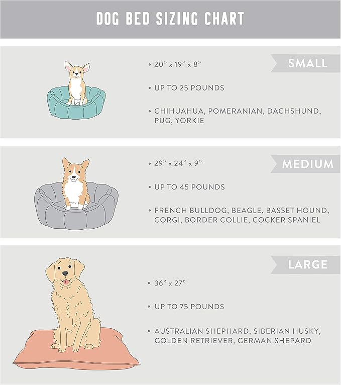 Fringe Studio Pet Bed 36 x 27 x 5 inches (225004),Large