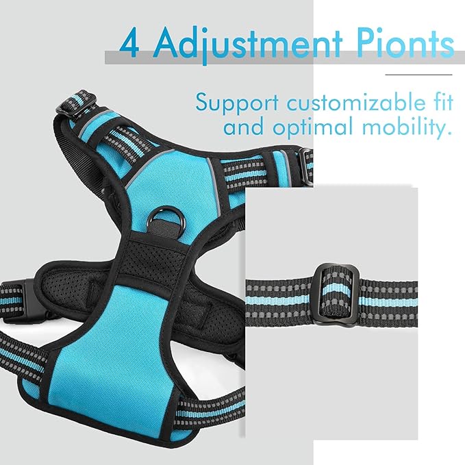 rabbitgoo Dog Harness 2 Leash