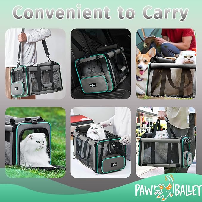 Pet Carrier 20 lbs,
