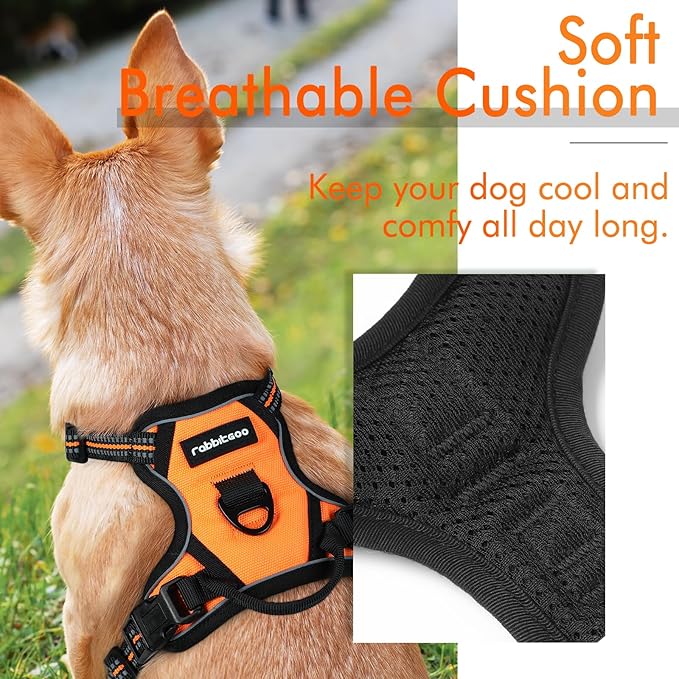rabbitgoo Dog Harness 2 Leash