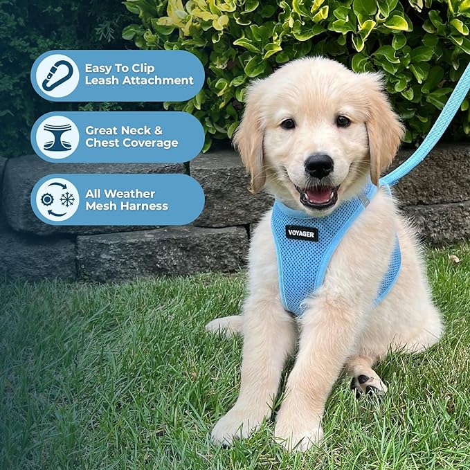 Voyager Step-in Air Dog Harness 207-BBW-XXS