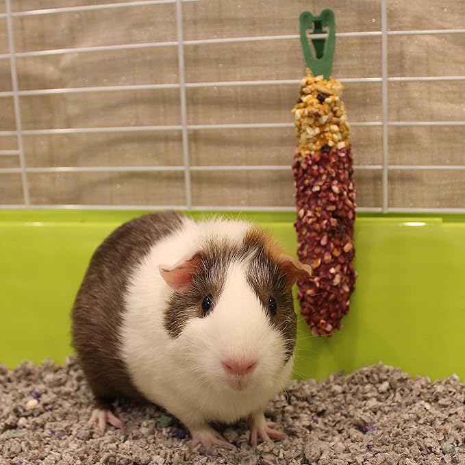 Vitakraft Crunch Sticks Guinea Pig Chewable Treats 6 Sticks